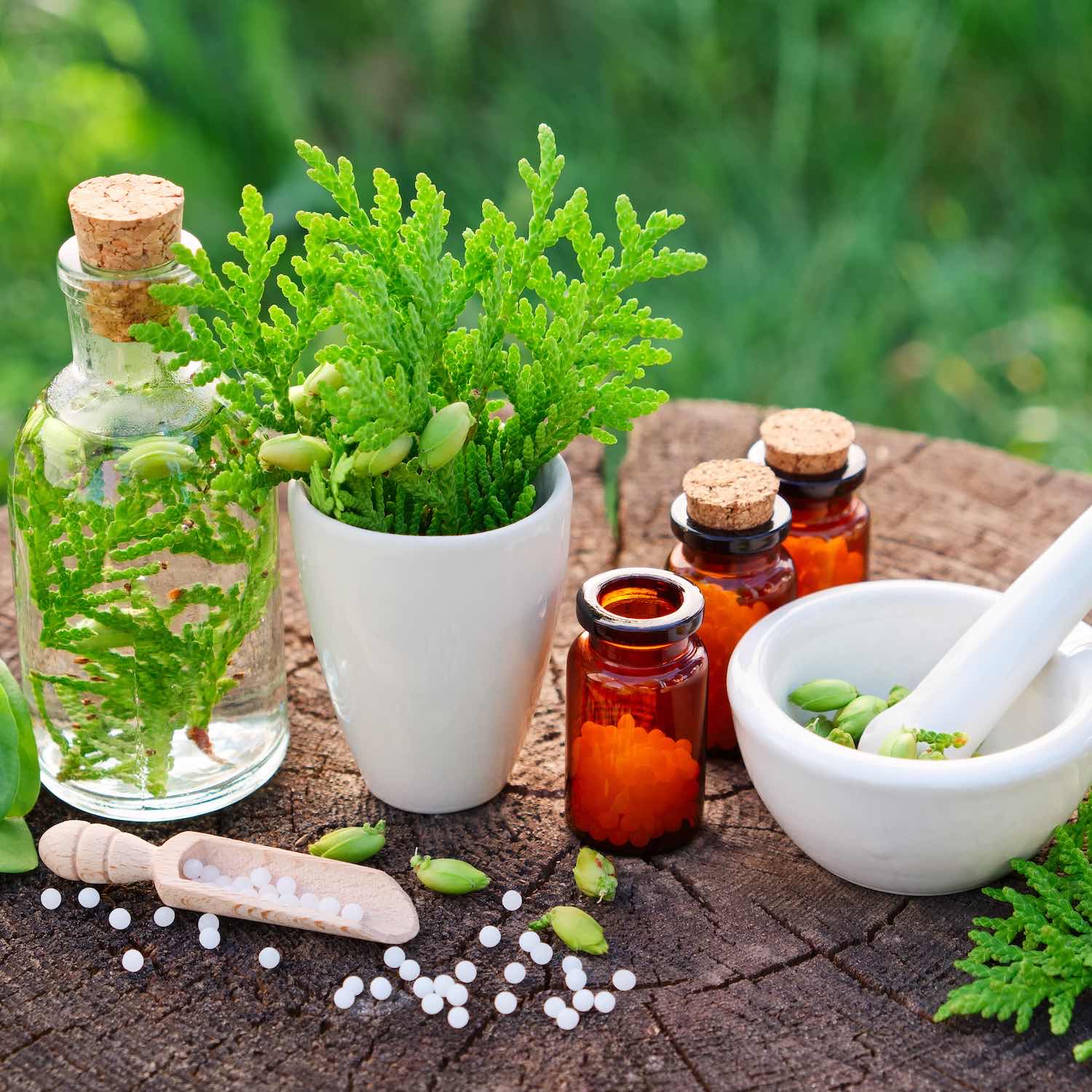 Homéopathie Homéopathie, Pharmacie Marme Dauphant à Thiers